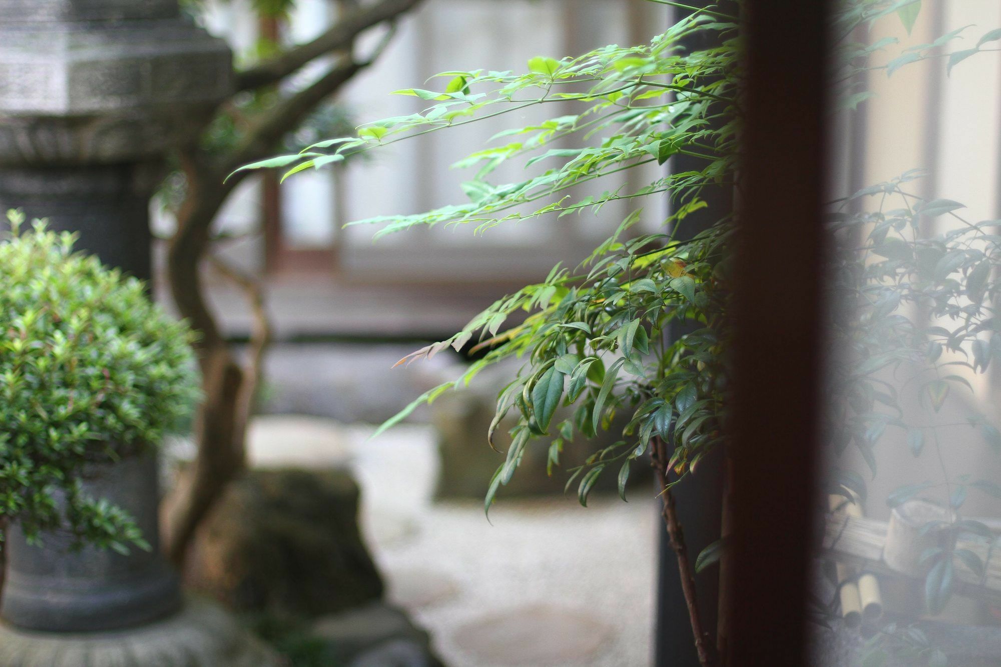 Guesthouse Kyoto Compass Екстер'єр фото